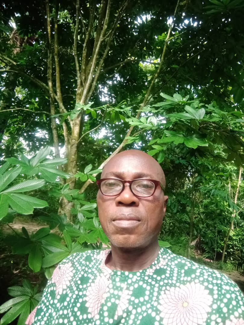 Field photograph from Igbehinadun Agroforestry